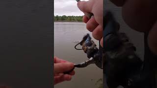 Crappie Fishing Bobber and Jig [upl. by Ahsytal]