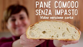 PANE COMODO FATTO IN CASA SENZA IMPASTO  Ricetta Facile Video Live versione corta [upl. by Dotty549]