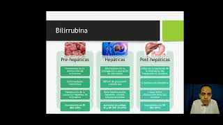 Indicadores metabólicos del perfil hepáticoParte 1 Bilirrubina 45 [upl. by Wheeler731]