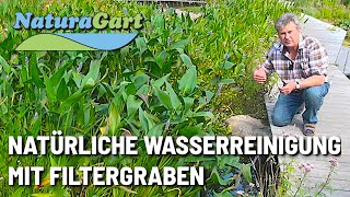 Biologische Teichreinigung im Schwimmteich und Fischteich durch Filtergraben [upl. by Naol]