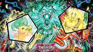 Tenpai Genroku puts in Work at Sneak Preview  Yugioh INFO Sneak Preview Top 4 Deck Profile [upl. by Fairman]