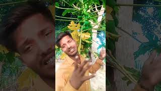 Ciate chudiyan fail ho jaaye secunder Maurya ji ka gana 2024 ka naya song bhojpuri hamarjila [upl. by Shanna]