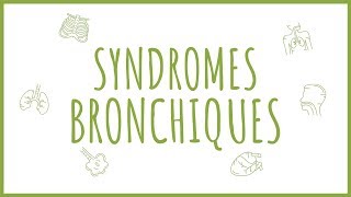 Sémiologie Respiratoire  Introduction aux Syndromes Bronchiques [upl. by Arretnahs]