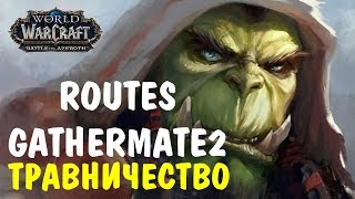 Настройка аддонов GatherMate2 и Routes для травничества [upl. by Naujid536]