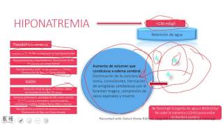 Equilibrio ÁcidoBase Nefrología Repaso rápido [upl. by Aicemaj]