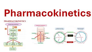 Pharmacokinetics ADME Absorption Distribution Metabolism Elimination [upl. by Lionel]