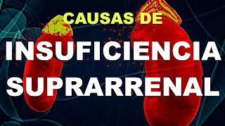 Qué es la Insuficiencia Suprarrenal Causas Fisiopatología [upl. by Ume]