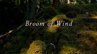 Broom of Wind by Mount Eerie official video [upl. by Prince]