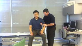 Shoulder Lateral Glide Sitting [upl. by Kilk500]