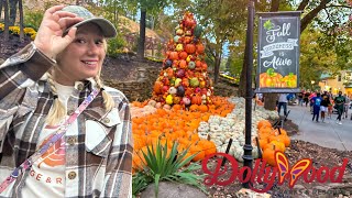 Dollywood Fall Food Crowds Great Pumpkin Luminights Lightning Rod Rollback amp More [upl. by Orme]