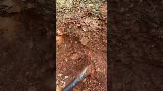 gold prospecting 2024 finding gold in sand gold prospecting for beginners [upl. by Broderick596]