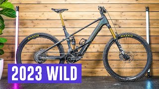 Is the 2023 Orbea Wild the Benchmark EMTB [upl. by Layne399]