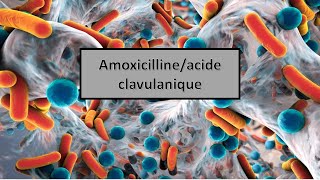 quotles médicaments génériques en Algérie quotAmoxicillineacide clavulanique [upl. by Hplodur618]