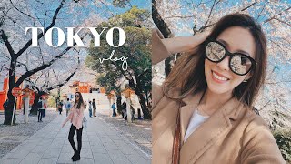 TOKYO VLOG 當地人帶你玩東京 🌸賞櫻景點 餐廳推薦 購物分享 遇到變態 🙈 [upl. by Tristram]