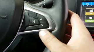 How To Reset Puncture Warning Lamp TPMS DACIA DUSTER [upl. by Amy]