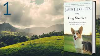 Part 1 of 3 Dog Stories Audiobook by James Herriot [upl. by Zeiger]