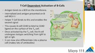 MICRO 111 Ch164 Completing the Immune Response [upl. by Roderica329]