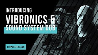 Introducing the Artist  Vibronics amp Sound System Dub [upl. by Eiliak928]