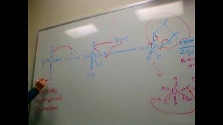 Sharpless Asymmetrical Dihydroxylation [upl. by Rimma341]