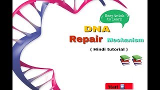 DNA repair in hindi  biology [upl. by Moretta294]