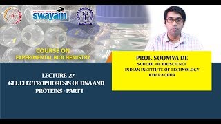 Lecture 27  Gel Electrophoresis of DNA and Proteins  Part I [upl. by Ydnerb]