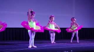 Jewels ballet dance version of Lavenders Blue Dilly Dilly OST of Disneys Cinderella [upl. by Eiuqcaj]