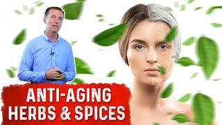 Herbs That Counter Aging [upl. by Airotkiv538]