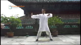 Wudang Five Animal Qigong 氣功 Qigong for Health [upl. by Rehttam]