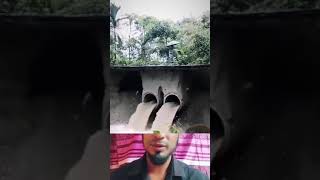 narrowly escaped। shortvideo facts duet [upl. by Ilehs]