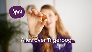 45 Alles over Tijgeroog de Goudbruine Beschermsteen  Edelstenen [upl. by Asyle454]