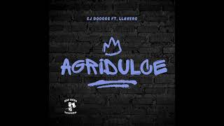 CJ DogG’s AGRIDULCE ft LLAVERO [upl. by Euginimod605]