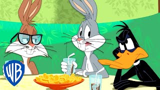 Looney Tunes en Latino  El nuevo amigo de Bugsy  WB Kids [upl. by Bensen]