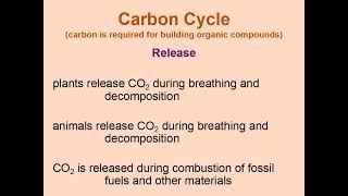 Biogeochemical cycles [upl. by Ihsorih]