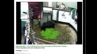 Ballymahon Cattle Mart Live Streaming [upl. by Holey282]