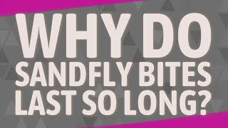 Why do sandfly bites last so long [upl. by Ariaet]