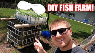 DIY Fish Farming How To [upl. by Verneuil]