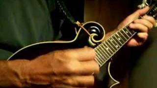 DeArmond Mandolin Pickup Demo [upl. by Dorene447]