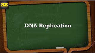 Understanding DNA Replication شرح بالعربي [upl. by Aynatal756]