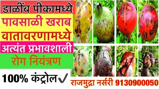 डाळींब पिकातील पावसाळी व खराब वातावरणामध्ये अत्यंत प्रभावी रोग नियंत्रणpomegranate disease control [upl. by Chung138]