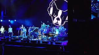 Snarky Puppy live in Dubai 2023 [upl. by Swerdna54]