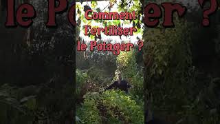 Comment Fertiliser un Potager  permaculture [upl. by Lizette]