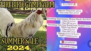 DAY 2 FIREBIRD GAMEFARM I SUMMER SALE 2024 WHITE KELSO RED KELSO MCLEAN HATCH NAKA SALE [upl. by Acimaj]