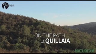 NATUREX On the path of Quillaia [upl. by Udall249]