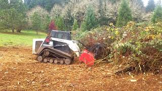 Bamboo Valley Forestry mulching Oregon blackberry thicket with wild plums and willows [upl. by Ennovy]