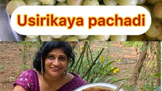 Usirikaya Pachadi  Usirikaya Nilava Pachadi in Telugu  Pickle [upl. by Anehta]