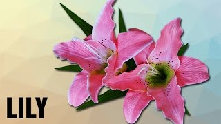 How To Pronounce Lily  Pronunciation In HINDI  Flowers  HD  Lehren Kids [upl. by Onairotciv]