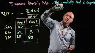 Simpsons diversity index [upl. by Tezile]