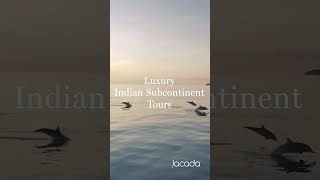 Luxury Indian Subcontinent tours designed just for you  an epic trip awaits [upl. by Shargel]