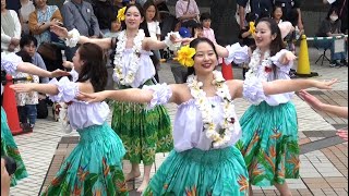 第21回大船まつり 鎌倉女子大学フラダンス部 hula hula dance [upl. by Erhard582]