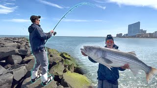 The MOST GIANT Land Based Stripers You Will EVER See [upl. by Skerl]